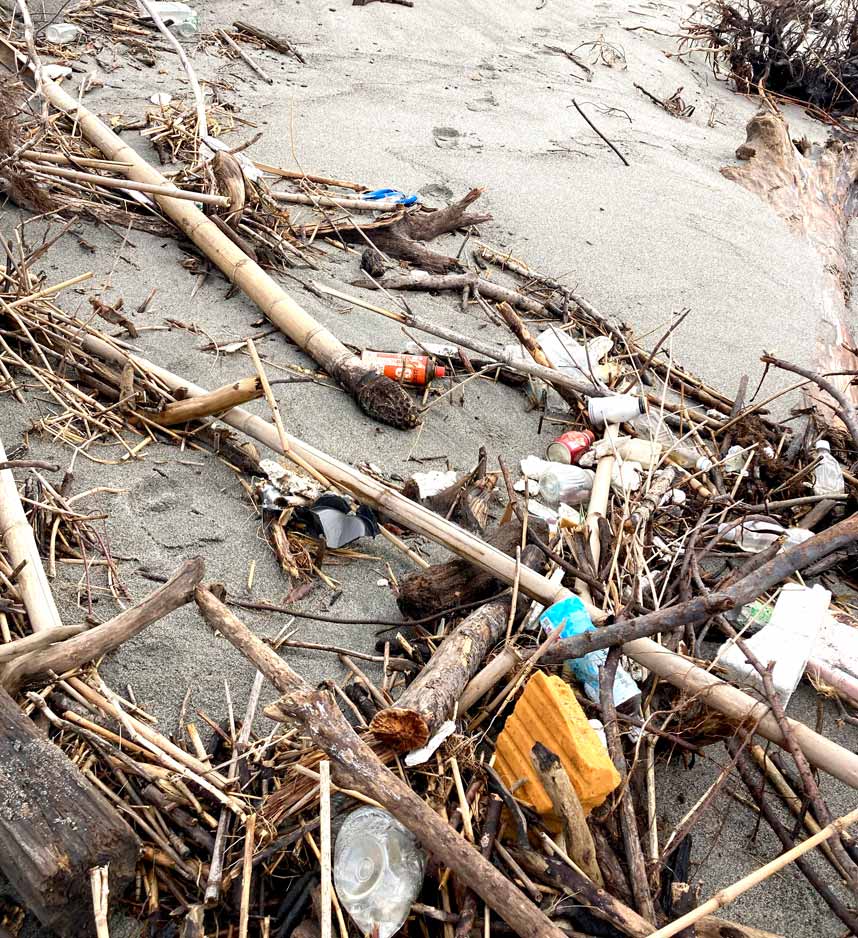 静岡県磐田市掛塚灯台付近の海岸がピンチ!? BLUE SHIP 事務局ブログ